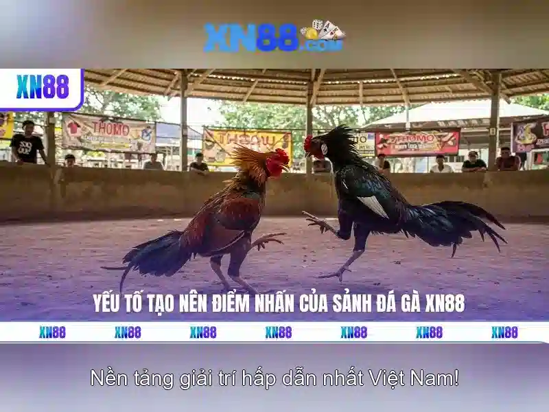 An toàn và phương thức thanh toán