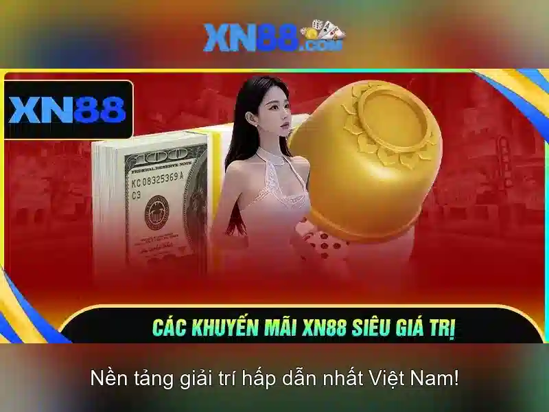 Hỗ trợ khách hàng và điều kiện sử dụng