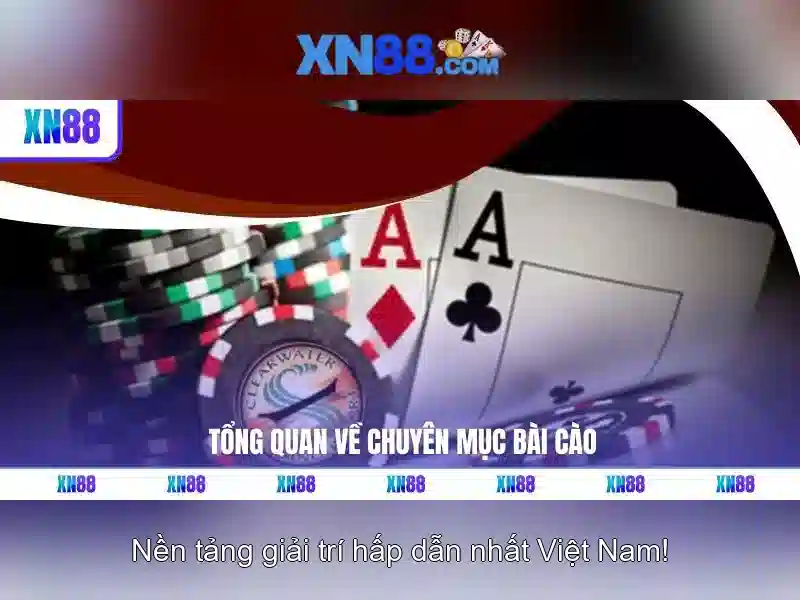 Cấu trúc và chức năng chính