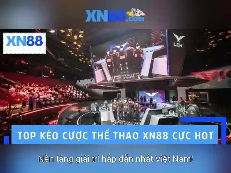 Giới thiệu về xn88