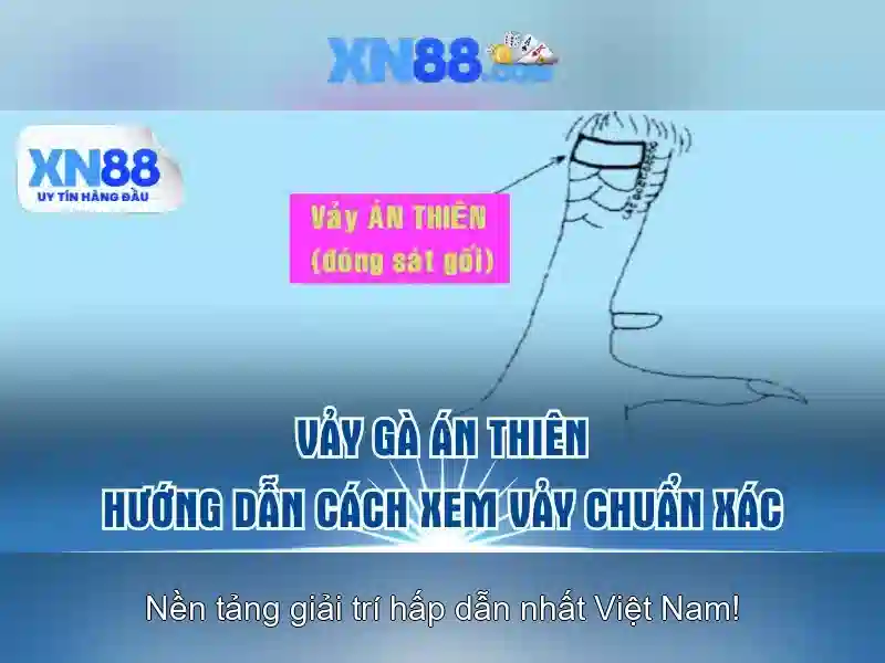 Nền tảng và trò chơi