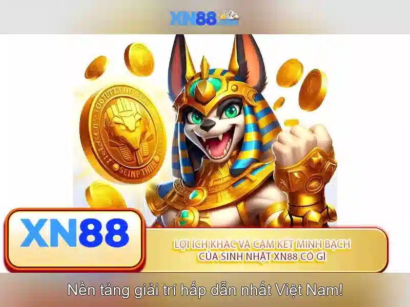 xn88: tổng quan về nền tảng giải trí trực tuyến
