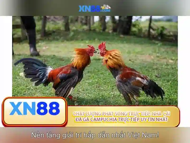 Nền tảng và mục tiêu