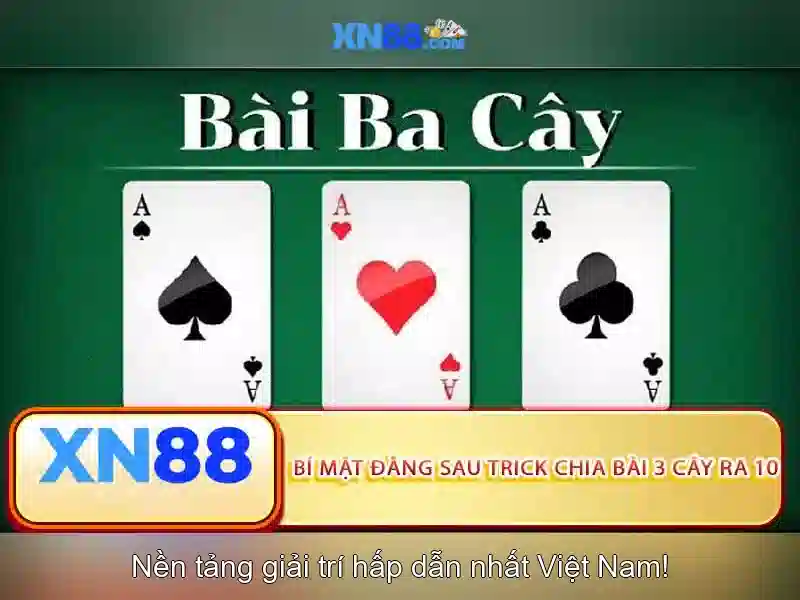 Tổng quan về xn88 và những điều bạn cần biết