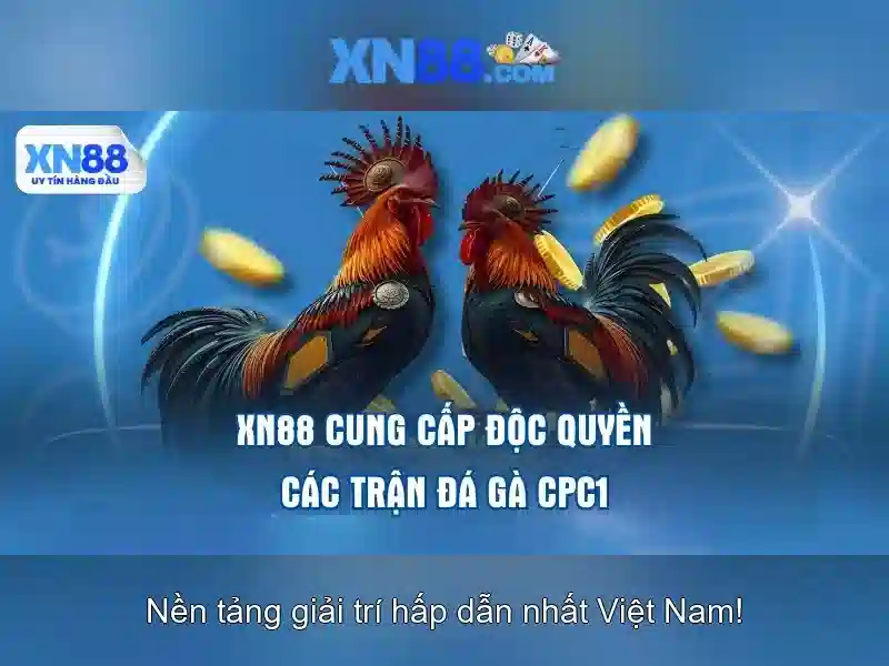 Hướng dẫn sử dụng cơ bản