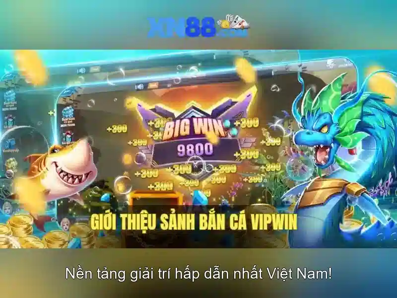 Kết luận và mẹo chơi an toàn