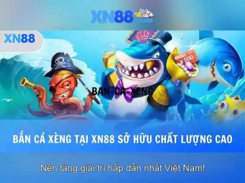 Kết luận về xn88