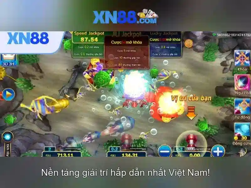 Lịch sử và sự phát triển