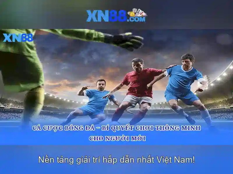 'Các tính năng nổi bật'