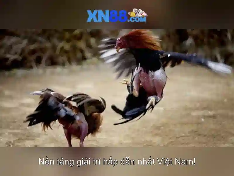 Bảo mật tài khoản