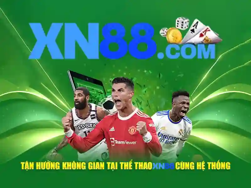 Lịch sử và phát triển